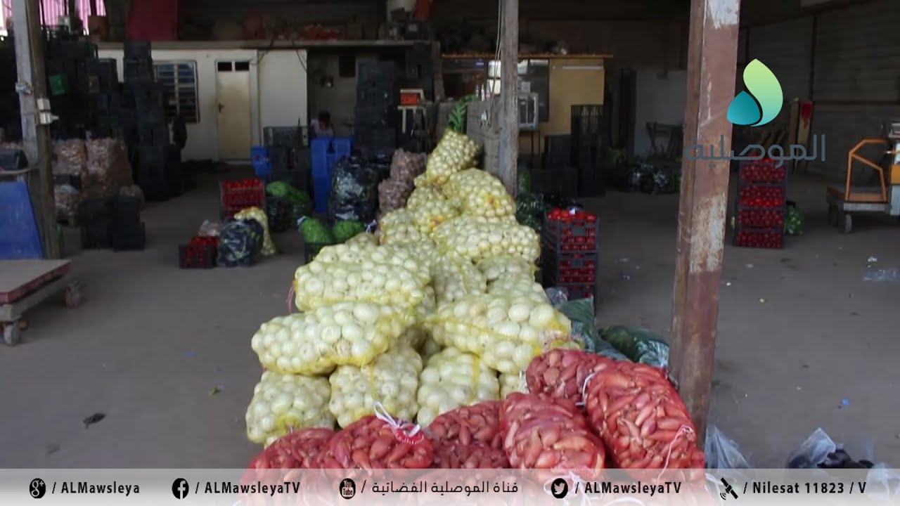 الموصلية ترصد أسعار أهم المحاصيل الصيفية المحلية بسوق علوة السعدون بأيسر الموصل