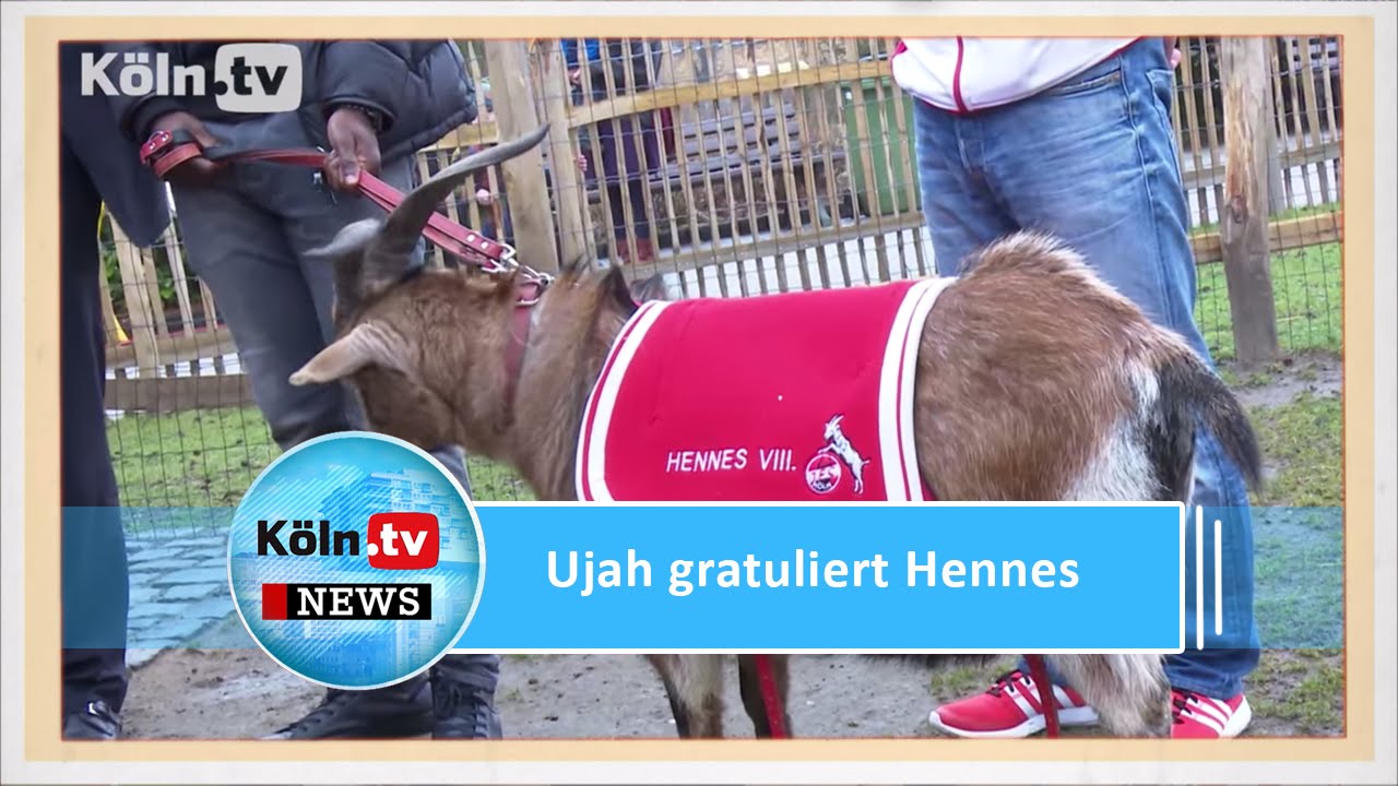 Anthony Ujah gratuliert Geißbock Hennes zum Geburtstag