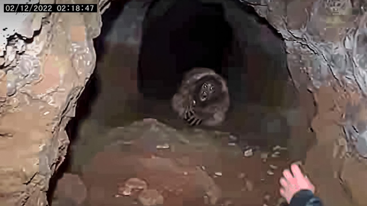 1 Hour of Most DISTURBING Abandoned Cave Encounters