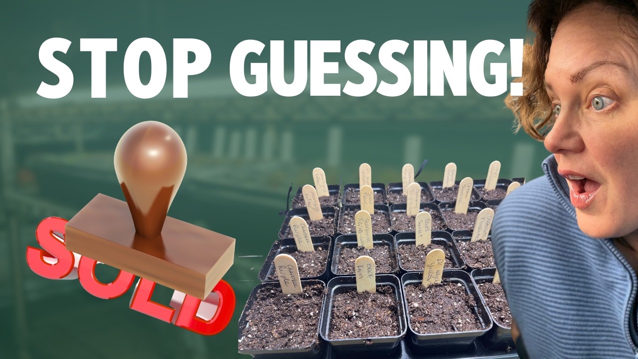 Как я выяснил, какие саженцы люди ДЕЙСТВИТЕЛЬНО хотят купить (Секреты маркетинговых исследований)