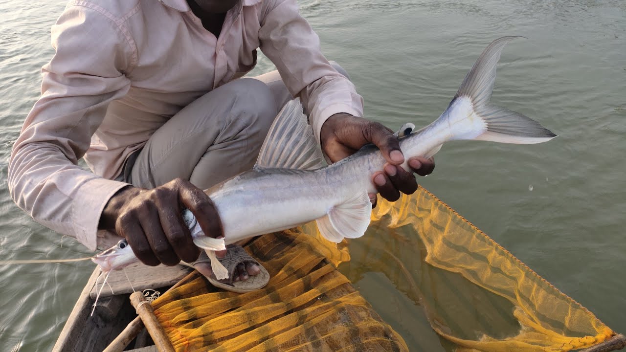 Hook Fish Hunting By River मछली पकड़ने का सबसे आसान hook line process