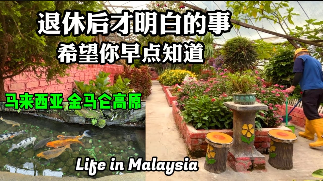 92）Things I only understood after retirement, I wish you knew it sooner_Living in Malaysia 马来西亚生活