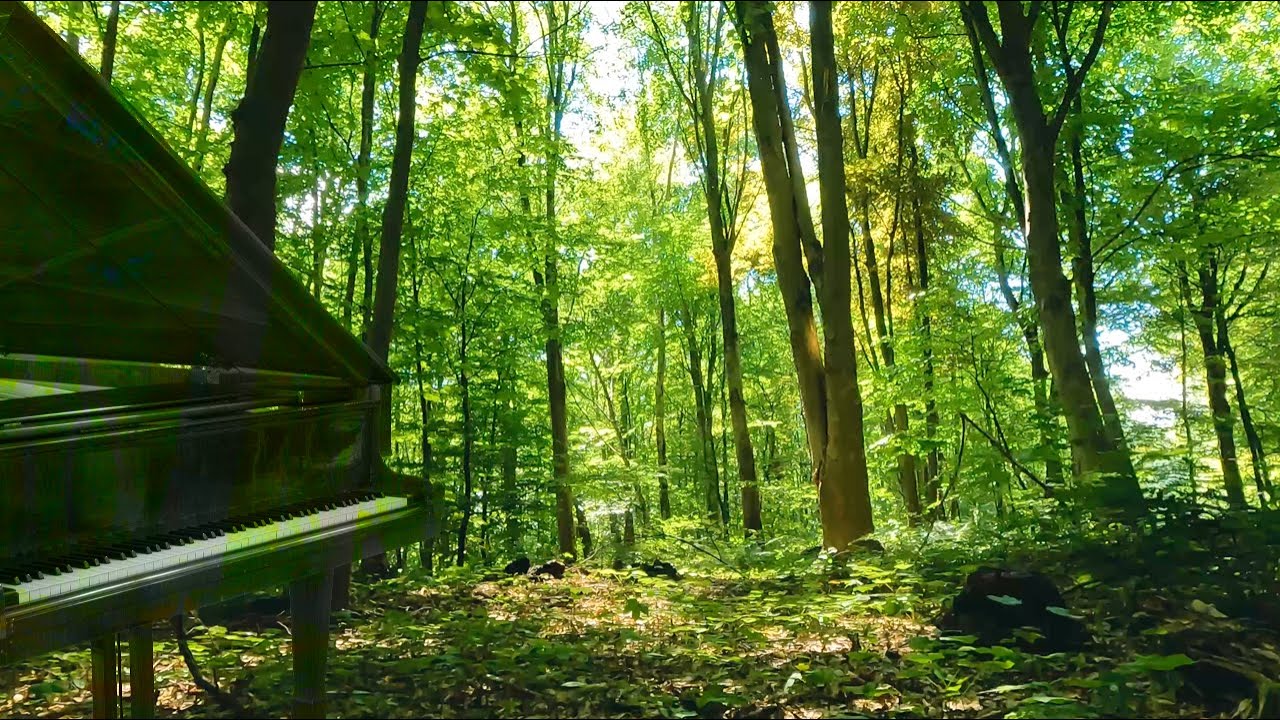 Schöne entspannende Musik (432Hz): Sanfte Klaviermusik (Gesang von Vögeln im Hintergrund)