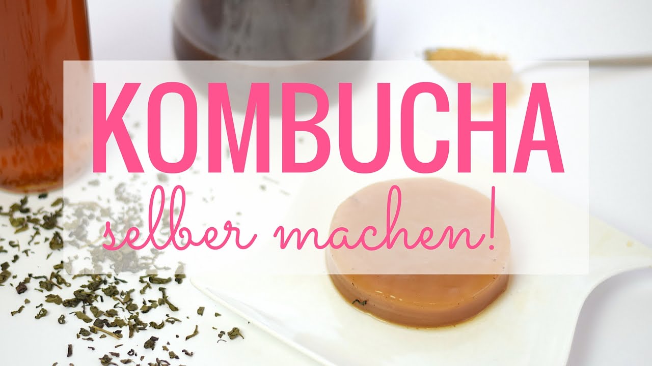 Kombucha selber machen Teepilz - einfachKochen