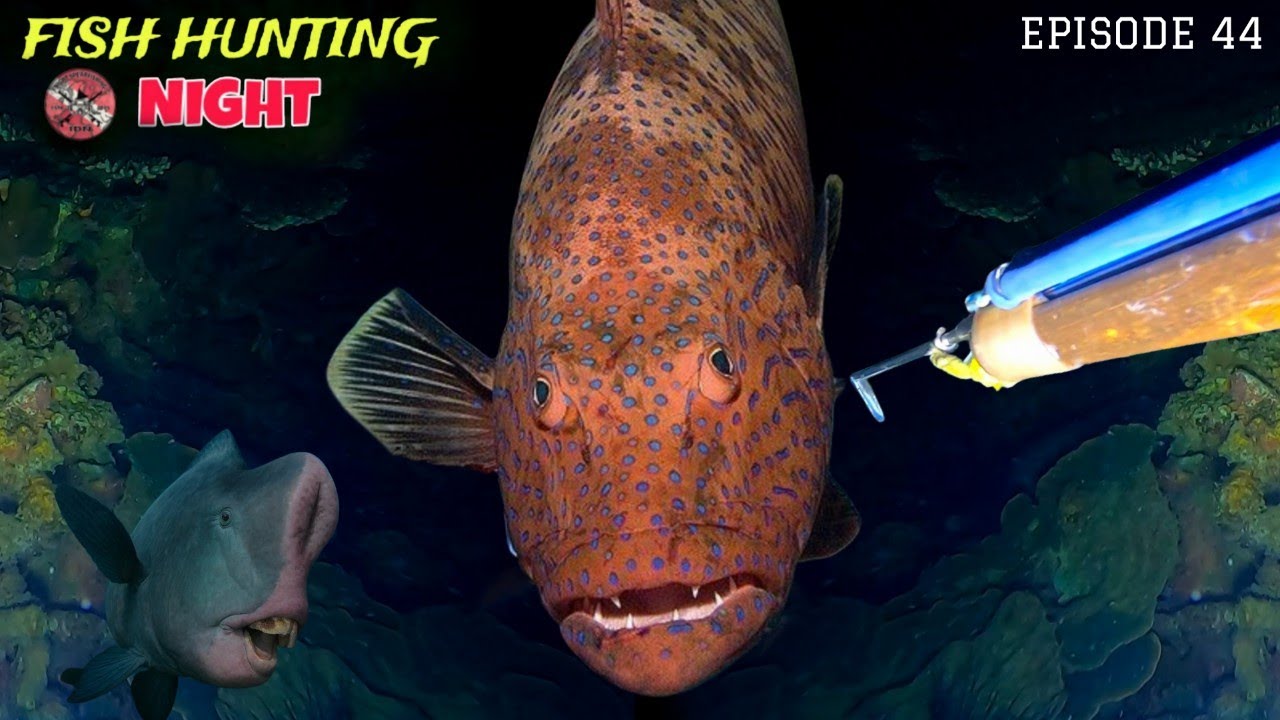NIGHT SPEARFISHING EPISODE 44 | FISH HUNTING NIGHT