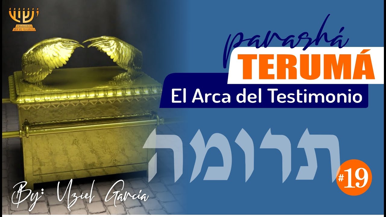 EL ARCA DEL TESTIMONIO Y LA SHEKINA  │ Parashat TERUMÁ