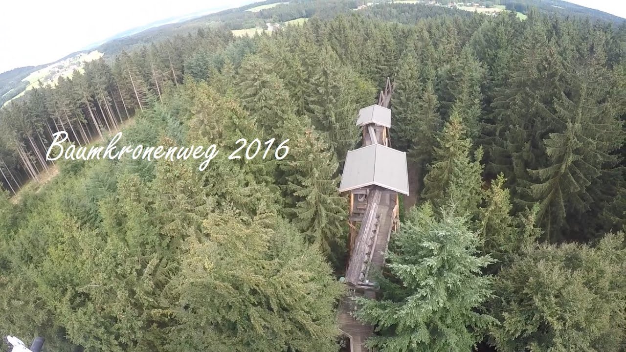 Baumkronenweg Erasmus 2016