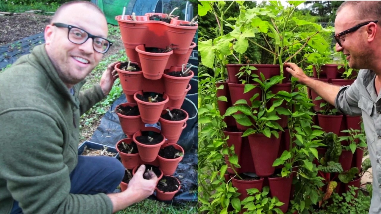 Greenstalk vs. Dollar Tree Planters | Ultimate Budget Comparison