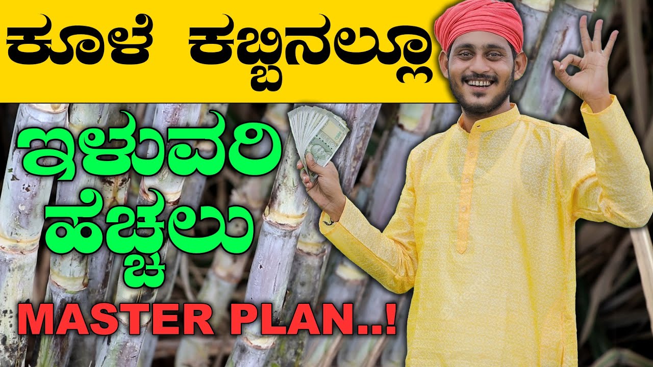 ಕೂಳೆ ಕಬ್ಬಿನಲ್ಲಿ ಇಳುವರಿ ಹೆಚ್ಚಿಸಲು ಕೃಷಿ ಬದಲಾಗಬೇಕು? #drsoil #organicfarming