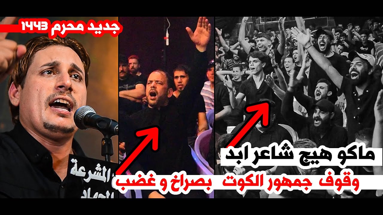 كارثة مستحيل يفوتك هذا الشاعر عظيم اسمعو واتونسو المهم  حسين السيد نور  || مهرجان تاريخ المشرعة 5