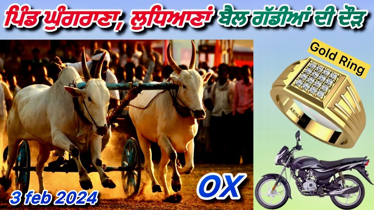 ✅ਬੈਲ ਗੱਡੀਆਂ ਦੀ ਦੌੜ Bullock Cart Racing ਜੇਤੂ ⏱️20.41 || ਘੁੰਗਰਾਣਾ ਲੁਧਿਆਣਾ ||