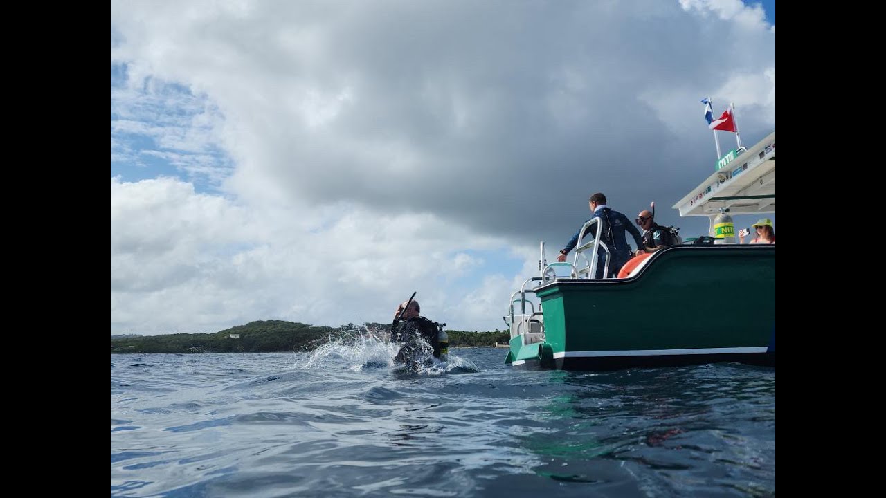 A week of diving at Cocoview Resort