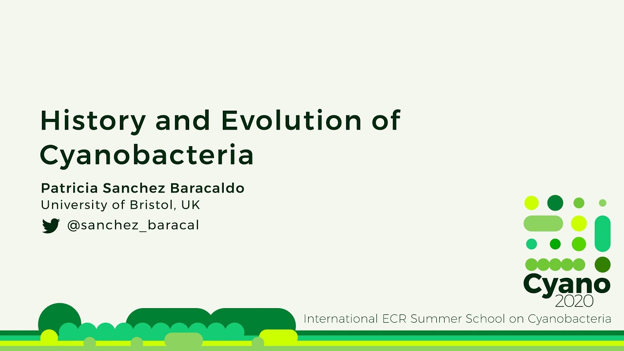Patricia Sánchez‐Baracaldo | History and Evolution of Cyanobacteria