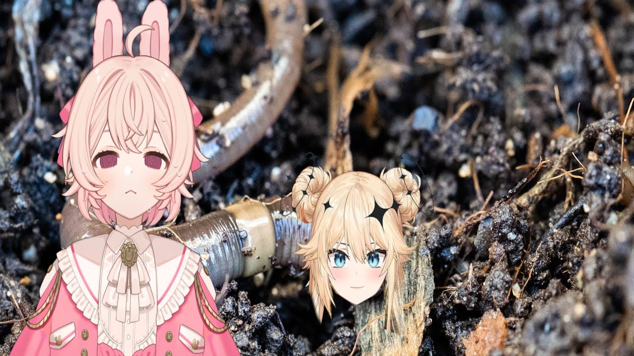 Would Pippa Love Lumi If She Were A Worm?