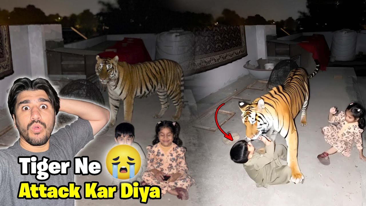 Pet House May Tiger Agya 😰 Bacho Par Attack Kar Diya😱