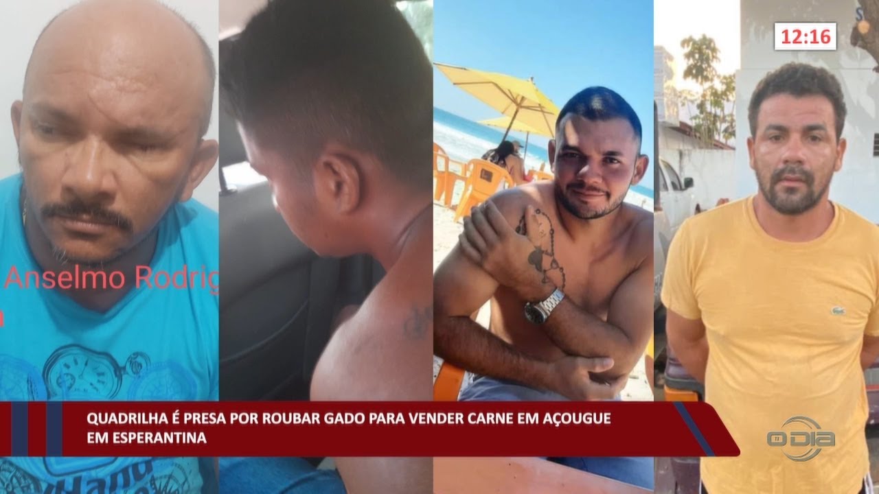 Quadrilha &eacute; presa por roubar gado para vender carne em a&ccedil;ougue em Esperantina 18 10 2022