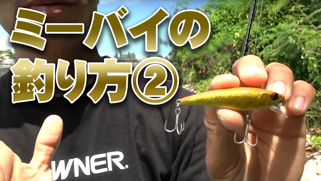 ミーバイの釣り方②【ミノーイング】【ハタ】【GROUPER】【沖縄ルアー】【TJ】