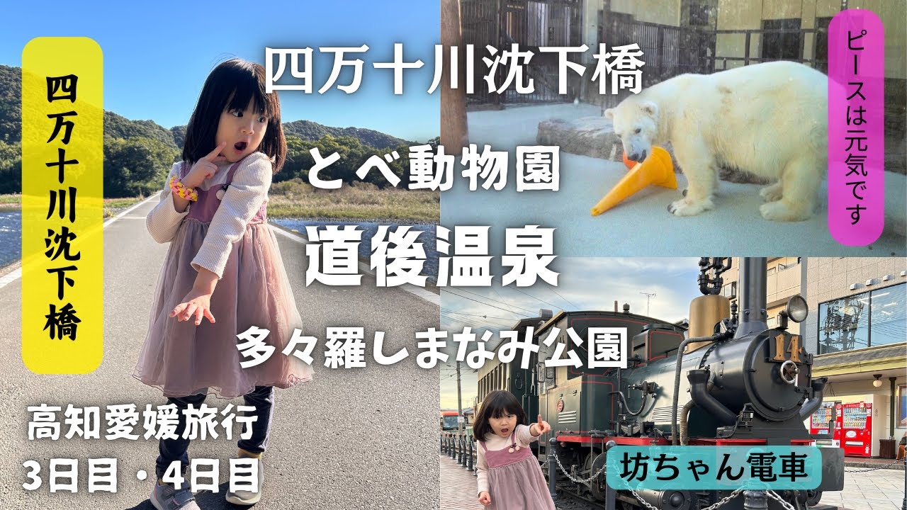 【4歳】高知&愛媛に行くなら絶対ココ❗️王道な場所はやっぱり楽しい😃とべ動物園｜道後温泉｜多々羅しまなみ公園｜しまなみ街道