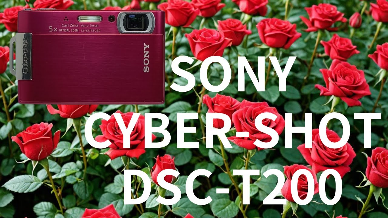SONY CYBER SHOT DSC T200. Digital camera sample photo. 