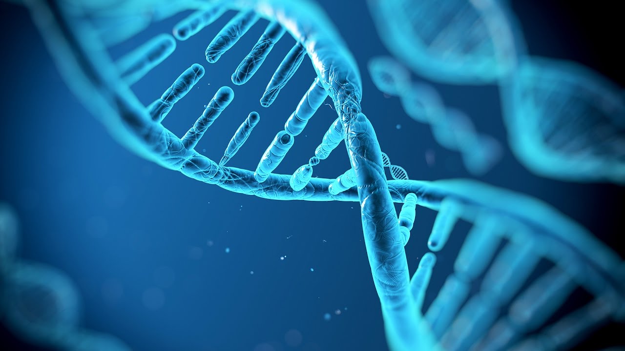 A History of Research on Genetics