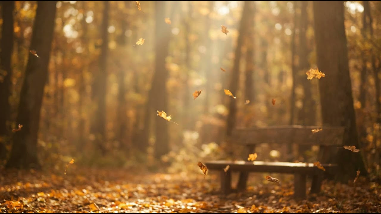 Ambient Work Pulse | Calm Music for Work or Studying by Soothing Ambient Waves 💼