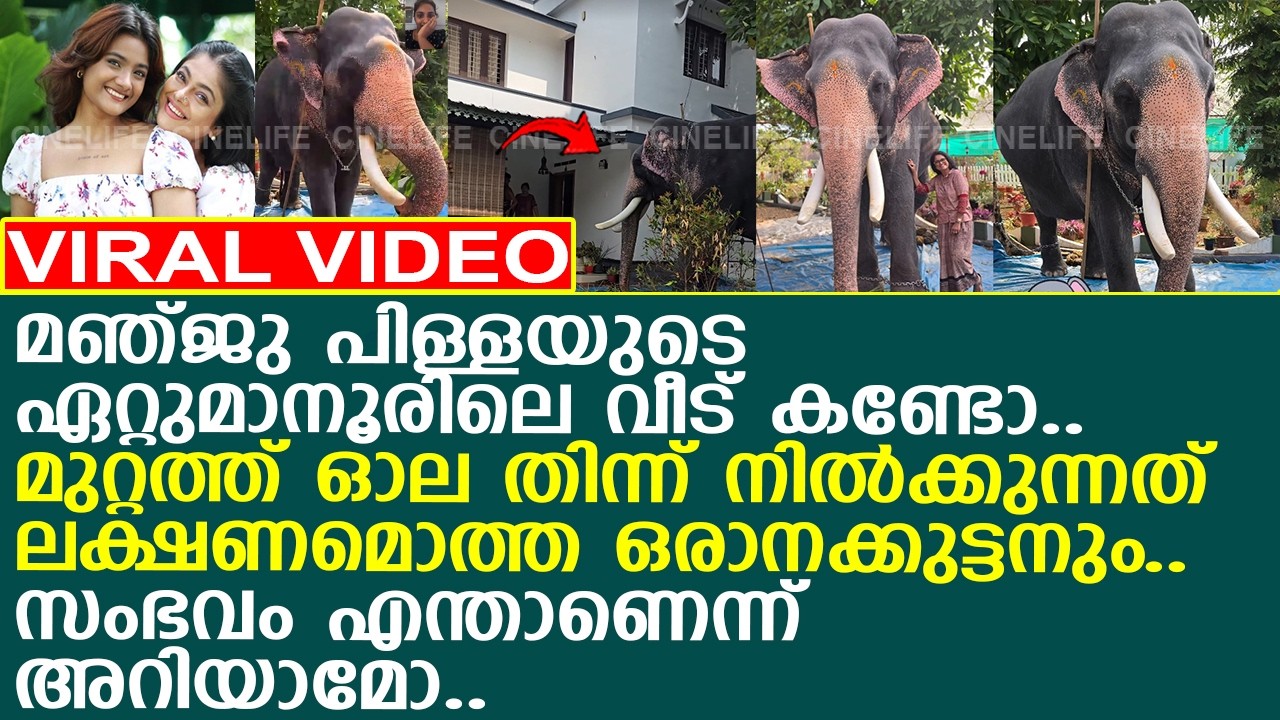 മഞ്ജു പിള്ളയുടെ ഏറ്റുമാനൂരിലെ വീട് കണ്ടോ.. മുറ്റത്ത് നില്‍ക്കുന്നത് ലക്ഷണമൊത്ത ഒരാനക്കുട്ടനും..!!