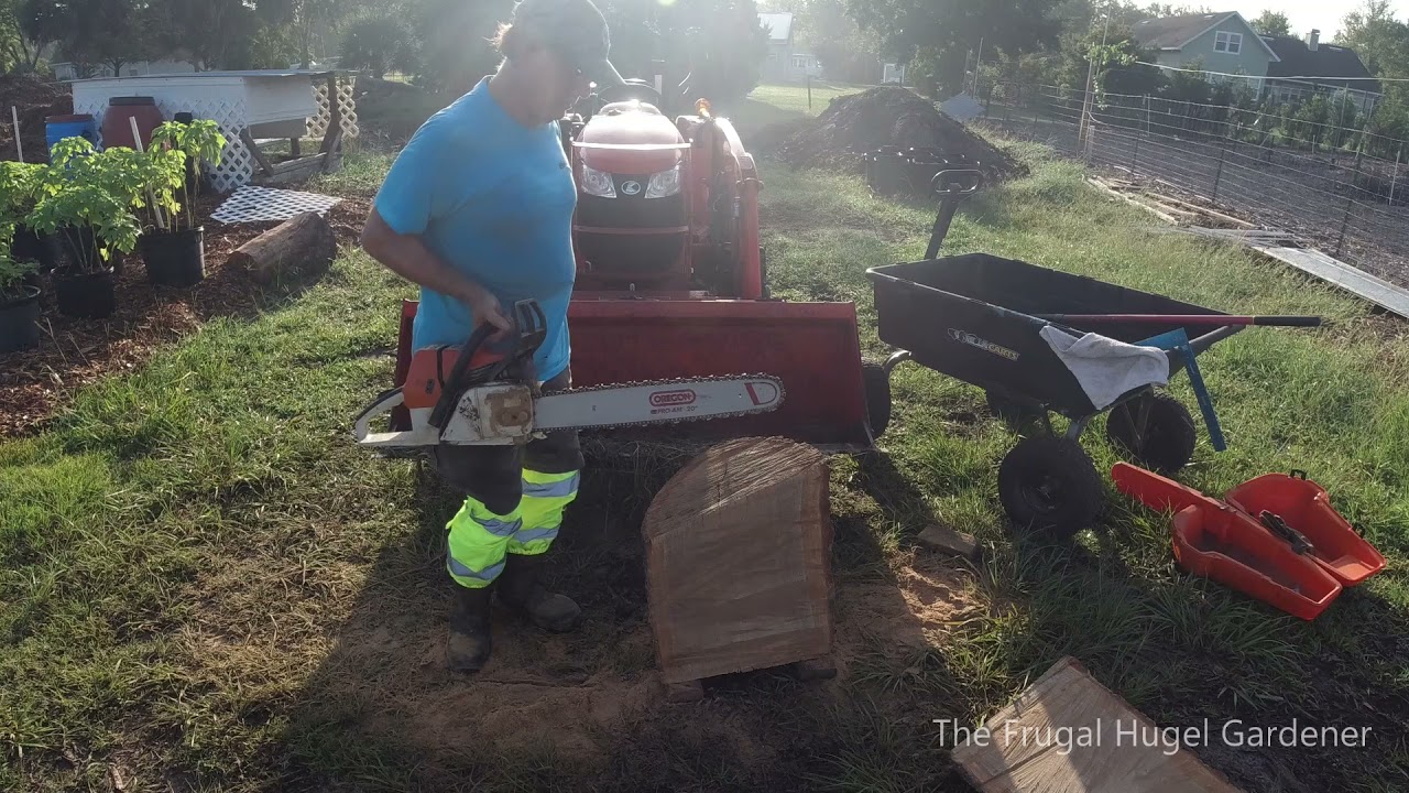 Making a Log Bat House for Garden insect control using a chainsaw.