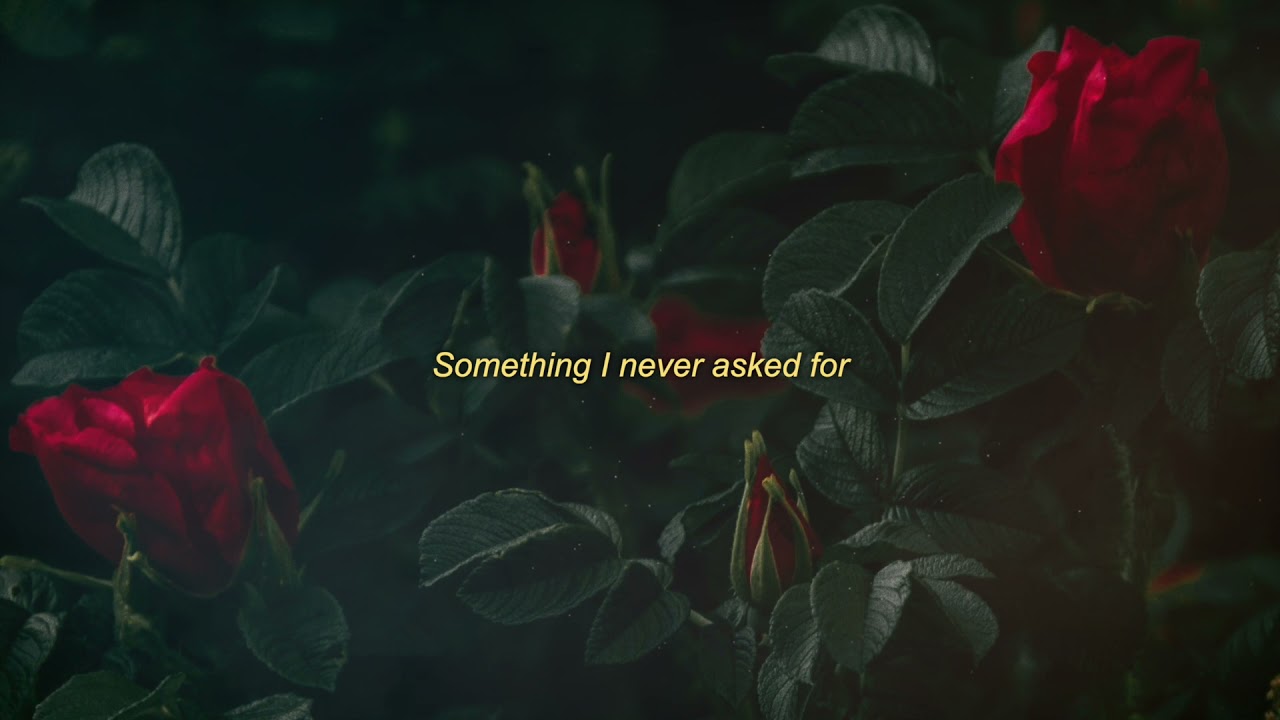 lullaboy - someone like u (lyric video)