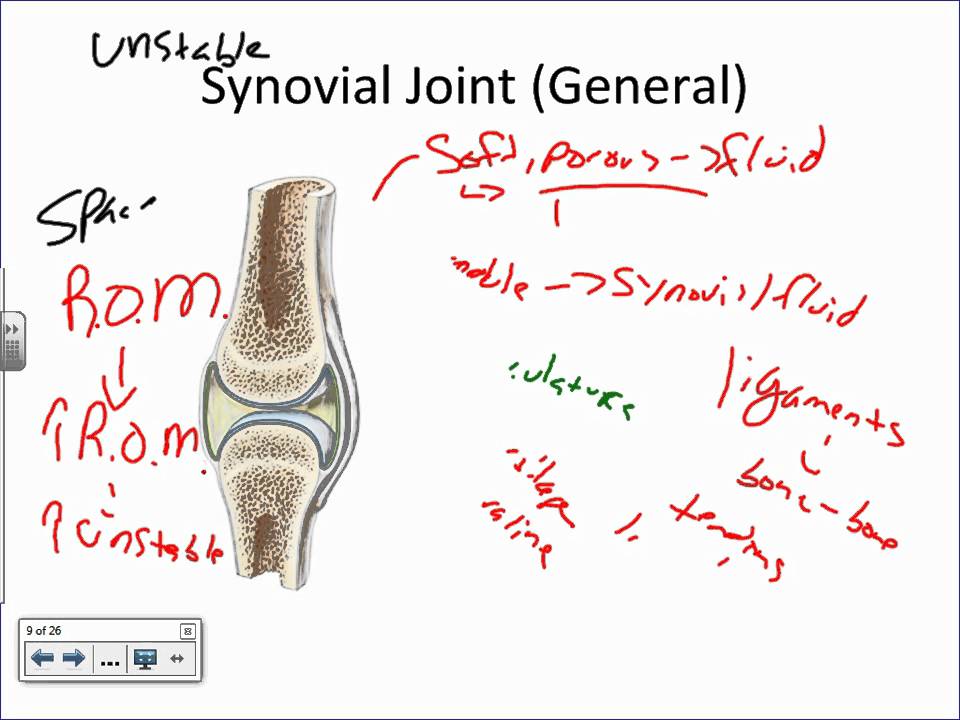 Joint Basics.wmv