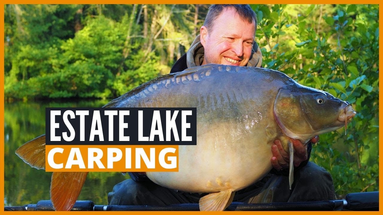Carp Fishing France: Fishing for big carp in small estates lakes