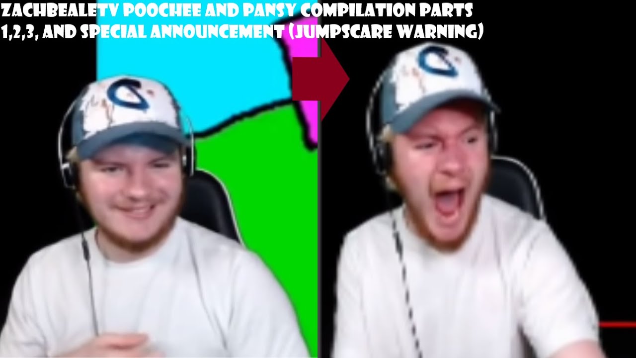 zachbealetv Poochee and Pansy Compilation parts 1-3, and Special Announcement (JUMPSCARE WARNING)