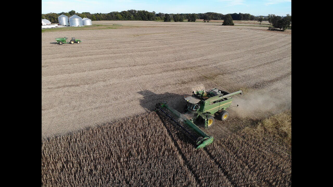 Alabama Cotton, Corn & Bean Picking 2018, Drone View