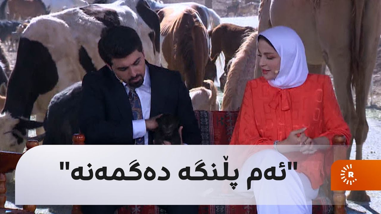 "ئەم پڵنگە دەگمەنە"