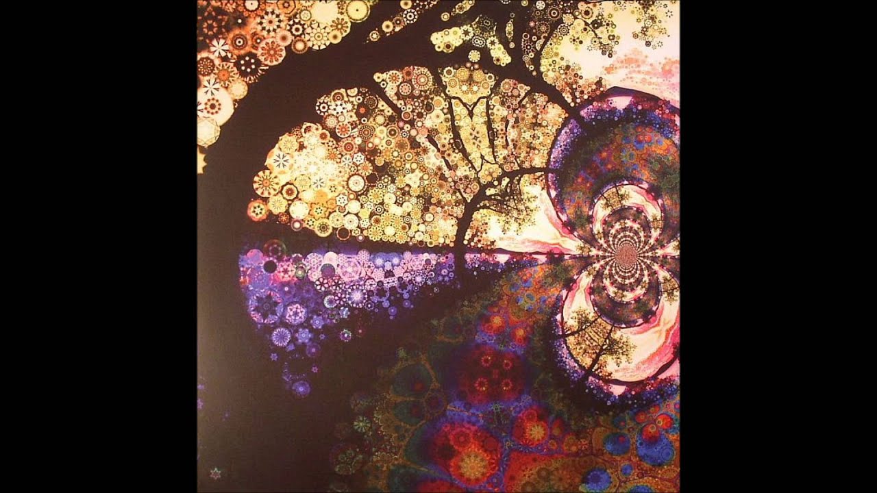 Chris Robinson Brotherhood - If Your Wheel Don't Roll