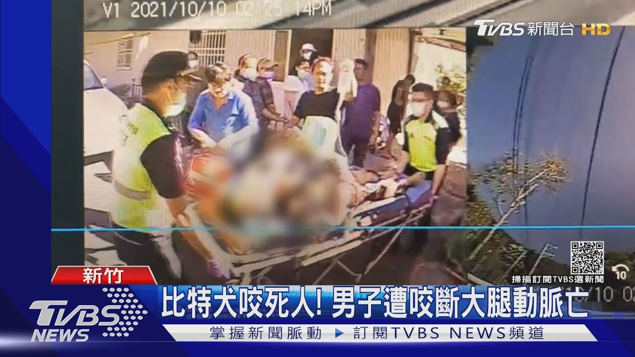 比特犬咬死人! 男子遭咬斷大腿動脈亡｜TVBS新聞