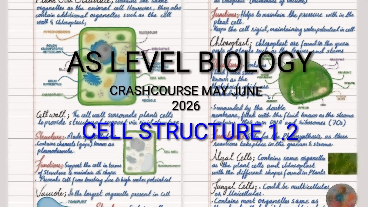 Cell Structure 1.2 AS LEVEL BIOLOGY lacture with detailed explanation and keypionts