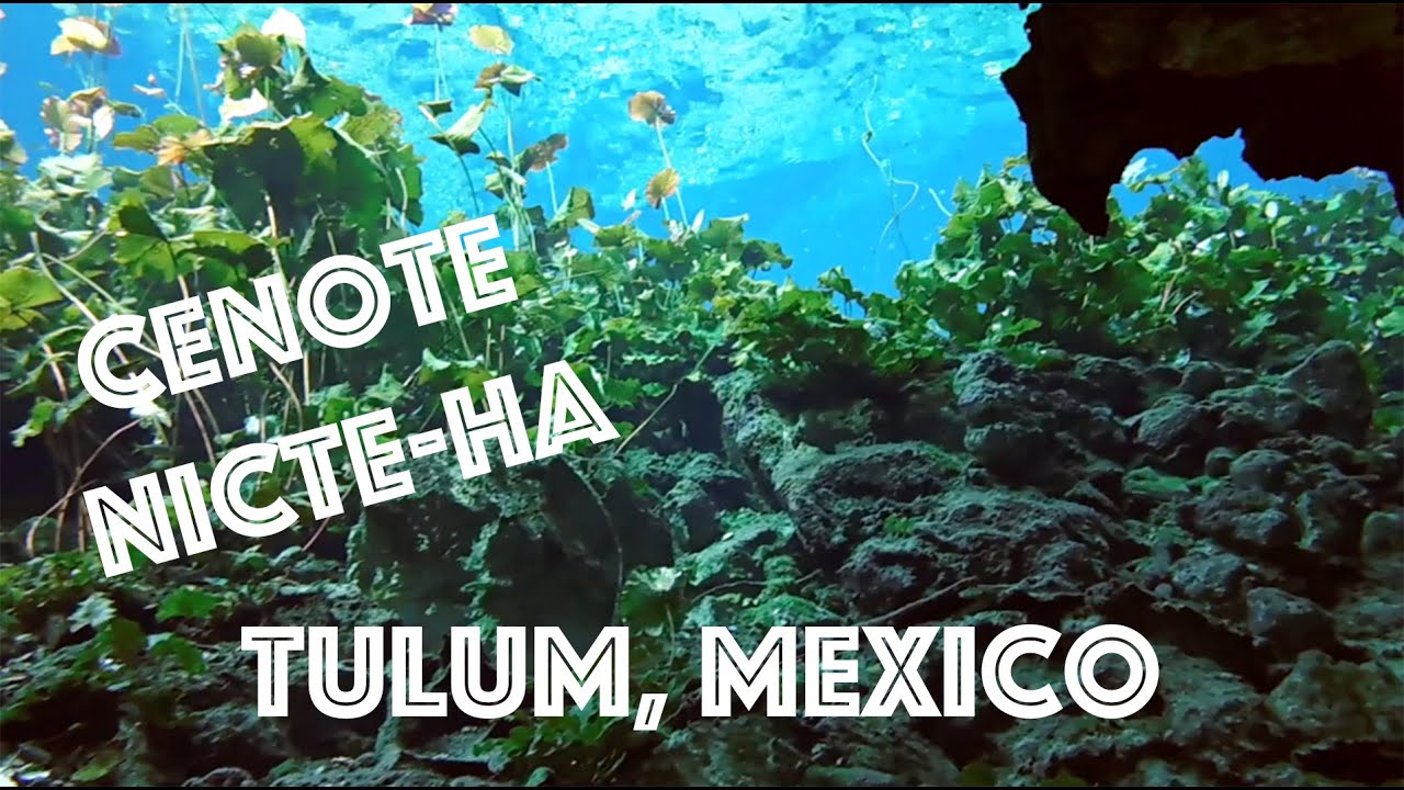 Best CENOTE Scuba Diving in Mexico at Nicte Ha - Tulum