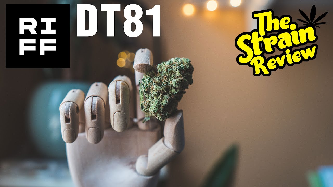 DT81 by Riff | The Strain Review