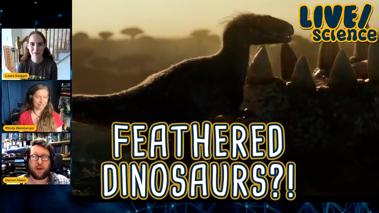 LIVE/science: Feathered Dinosaurs