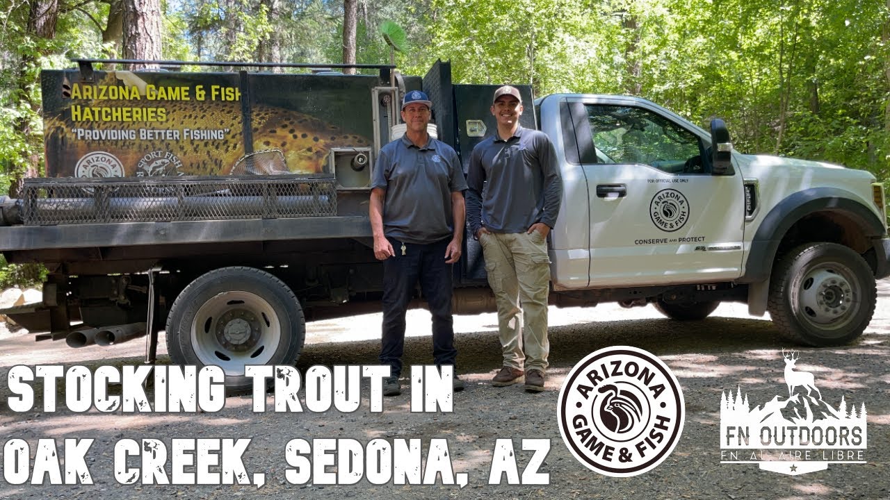 Stocking Trout/Echando Trucha in Oak Creek, Sedona, AZ @Arizona GameAndFish  Part 1