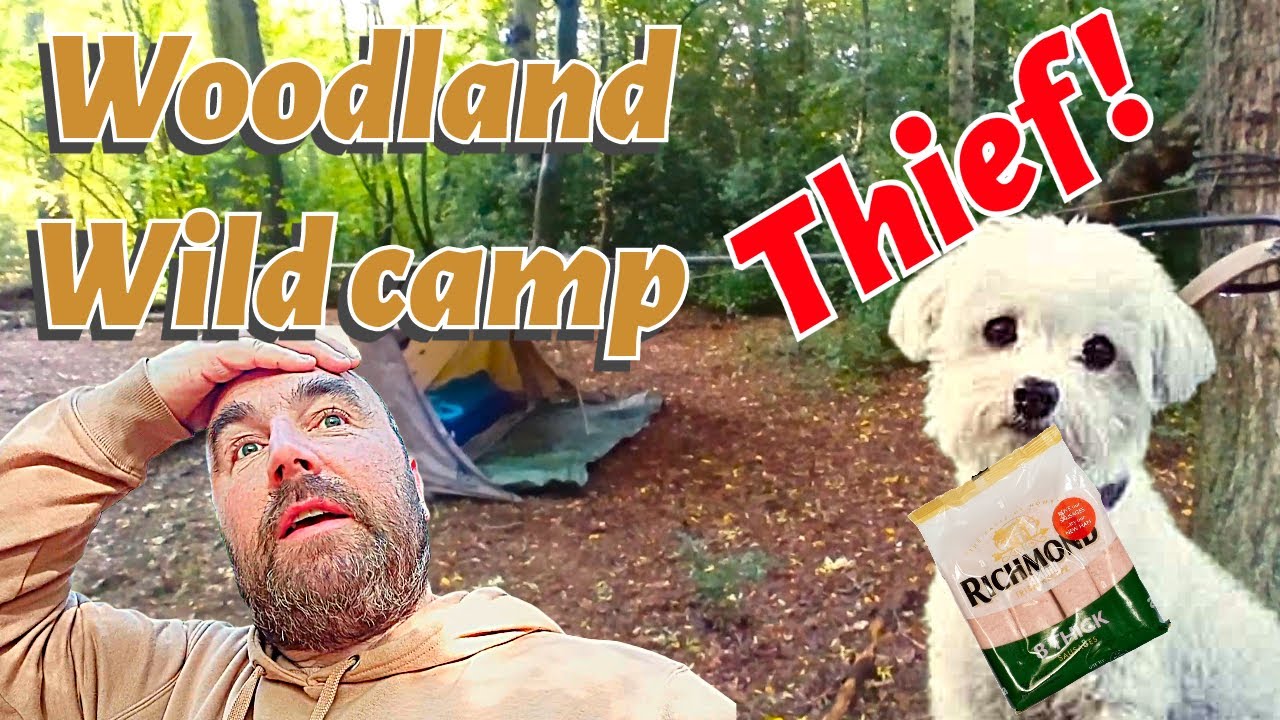 Wild Camping in a Woodland with a Sneaky Sausage Thief
