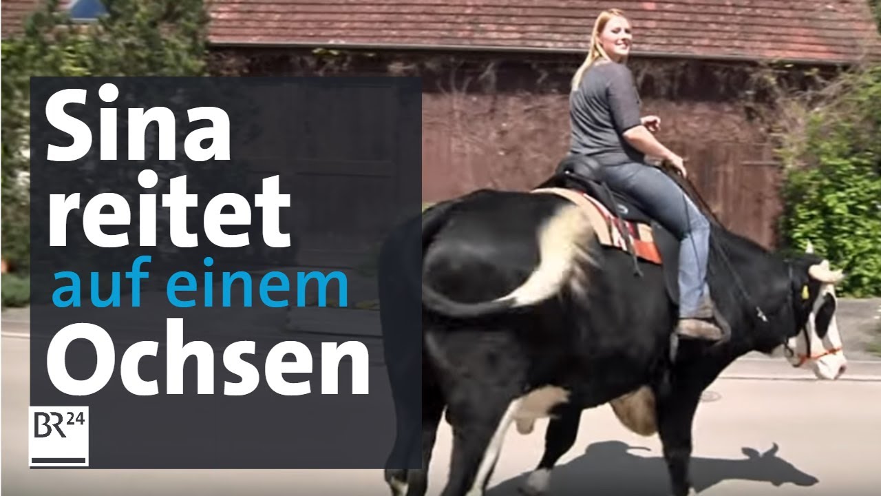 Sina reitet auf einem Ochsen | BR24