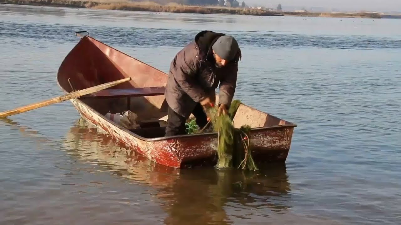 صيادو الرقة يبحثون عن رزقهم بالفرات رغم الظروف الأمنية وانتهاء الموسم