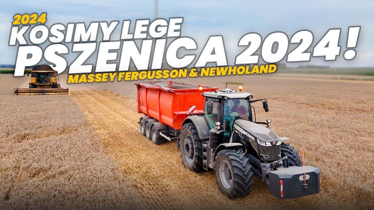 🇵🇱Kosimy Lege W Gr Łukasiak ☆ Pszenica 2024☆Massey Ferguson 8740 & New Holland CX 6.80☆ 7 min W [4K]