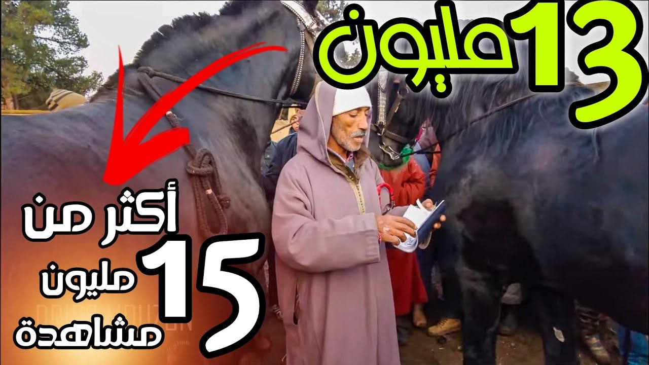 جوج  خيولا  تباعوا ب 13 مليون  في سوق الثلاثاء الخميسات - مع ادريس موزن