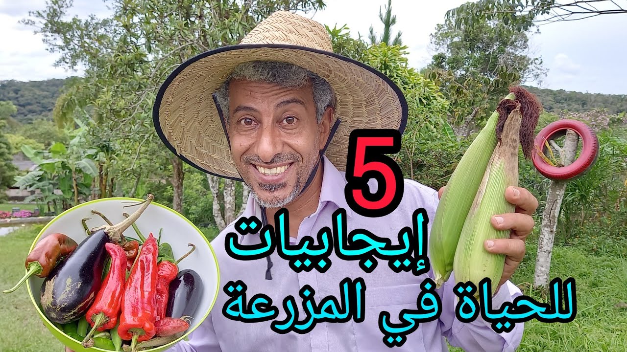 الحياة في المزرعة 5 إيجابيات للعيش في المزارع
