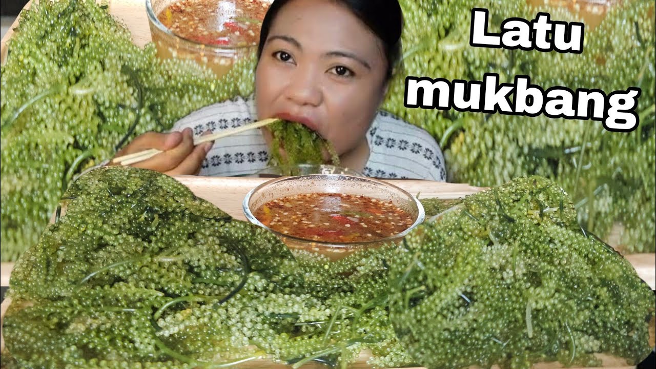 SPICY LATU/SEAGRAPE/ WITH SPICY SAUCE MUKBANG