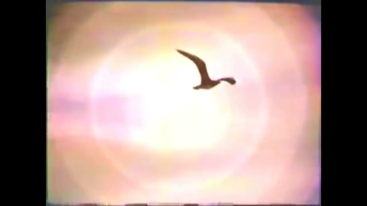 ABC Daytime Openings - March 19, 1984