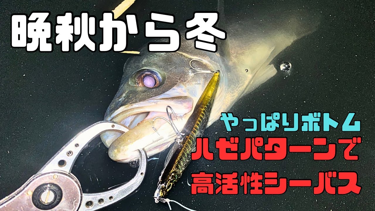 晩秋から冬はハゼパターンで高活性！！
