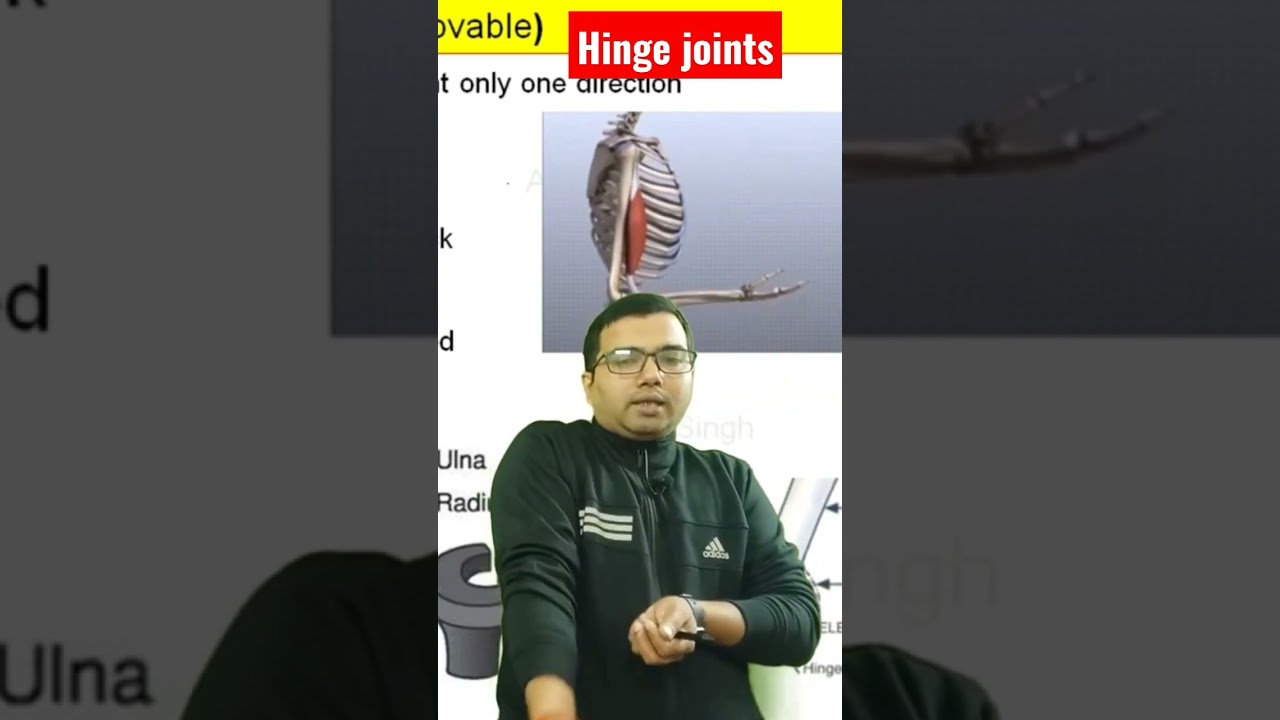 hinge joints